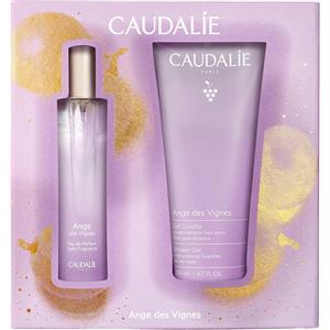 Ange Des Vignes Cof Natale2024