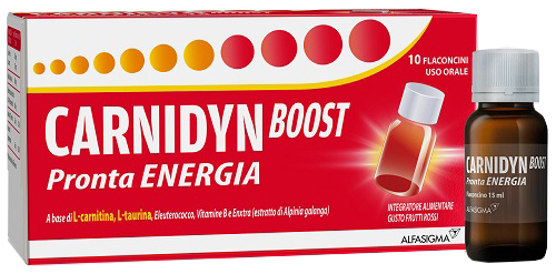 Carnidyn Boost 10fl